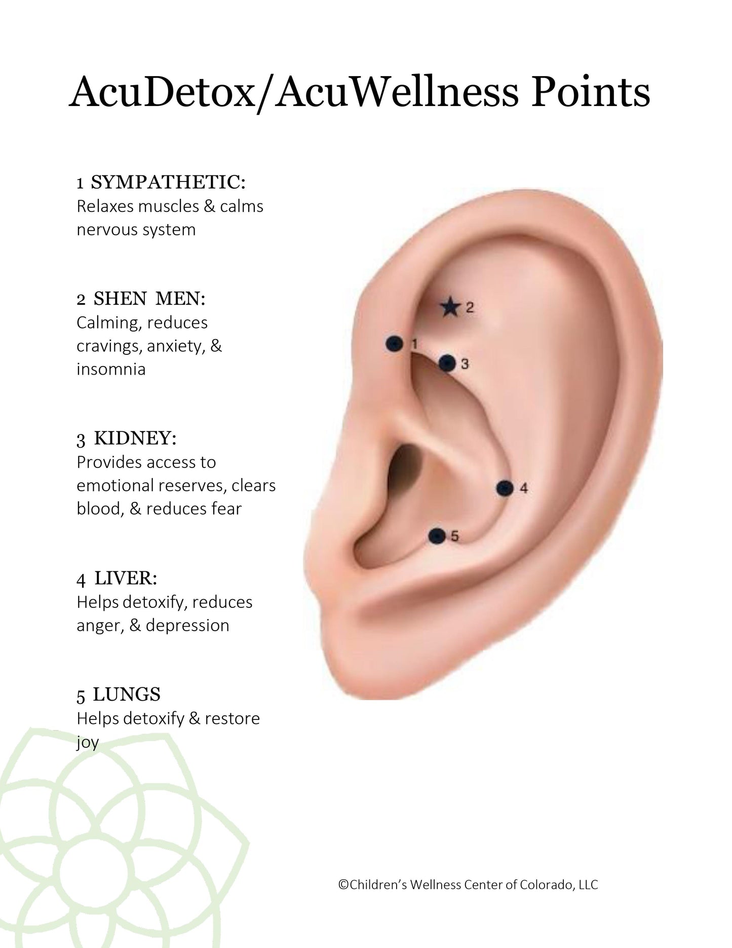 AcuDetox Ear Acupuncture